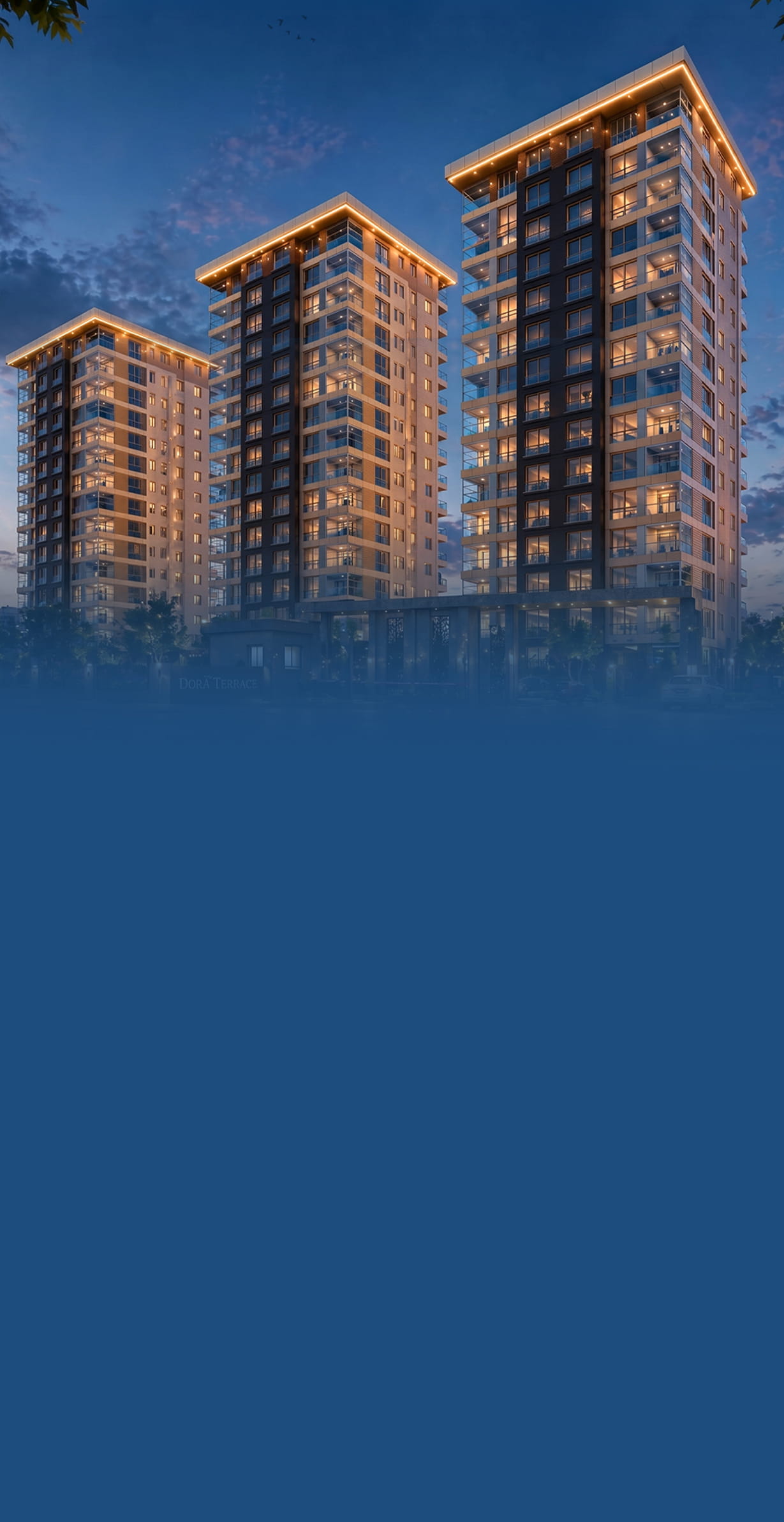 YMC DORA TERRACE